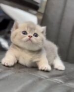 Jim