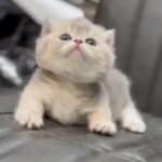 Jim